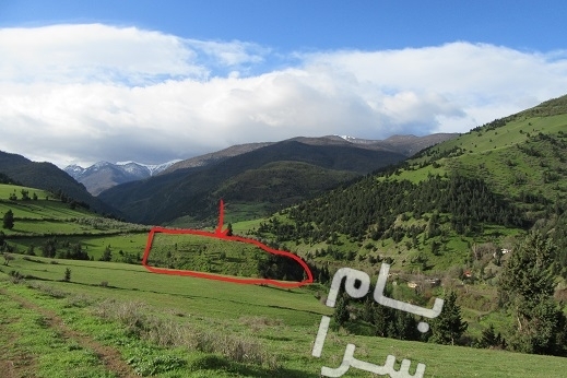 رودبار فروش زمین ۱۰۰۰۰ متری رحمت آباد روستای سرسبز سیدان