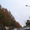 ملک کد #23059
