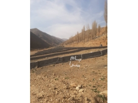 رینه فروش زمین پلور