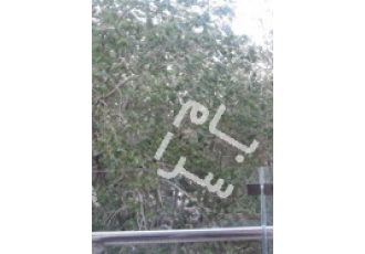 اصفهان فروش آپارتمان خیابان فروغی