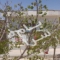 ملک کد #27604