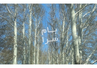 کرج فروش زمین رضاآباد