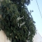 ملک کد #27833