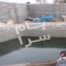 ملک کد #27916