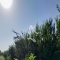 ملک کد #27858