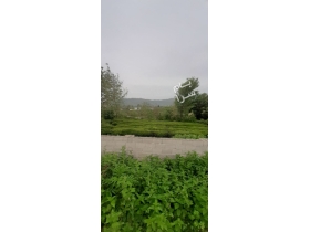 ماکلوان  فروش زمین خانوانه