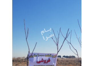 تهران فروش زمین اسلامشهر