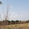 ملک کد #28381