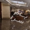 ملک کد #28335