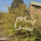 ملک کد #28710