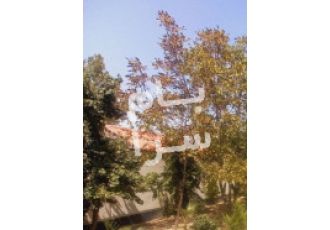 ملارد فروش ویلا ملارد