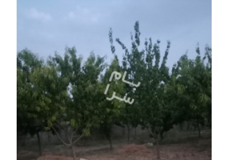 کرج فروش باغ کیانمهر