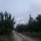 ملک کد #28876
