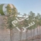 ملک کد #28892