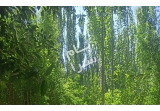 اصفهان فروش باغ شهرضا