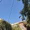 ملک کد #29453