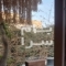 ملک کد #29393
