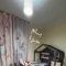 ملک کد #29579