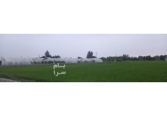 ساری فروش زمین ۲۲بهمن