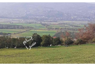 ساری فروش زمین تنگ لته