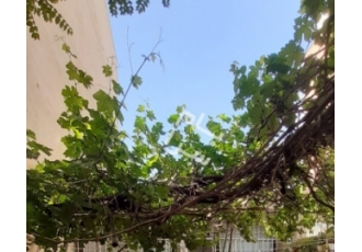 فردیس فروش ویلا گلستان ۵۱