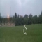 ملک کد #29264