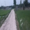 ملک کد #29264