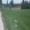 ملک کد #29264