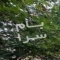 ملک کد #30080